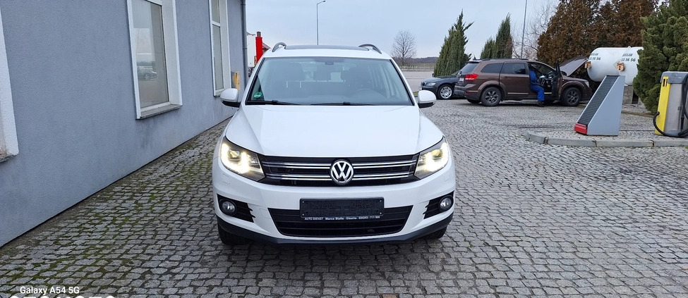 Volkswagen Tiguan cena 44999 przebieg: 180000, rok produkcji 2011 z Jawor małe 704